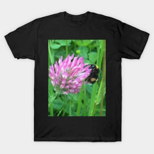 Busy Bumble Bee on a Four Leaf Lucky Clover T-Shirt